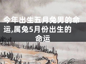 今年出生五月兔男的命运,属兔5月份出生的命运