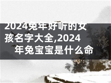 2024兔年好听的女孩名字大全,2024年兔宝宝是什么命