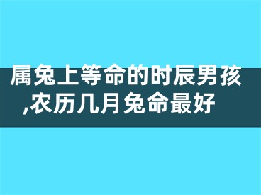 属兔上等命的时辰男孩,农历几月兔命最好