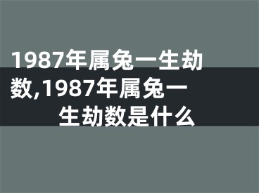 1987年属兔一生劫数,1987年属兔一生劫数是什么