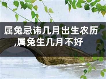 属兔忌讳几月出生农历,属兔生几月不好