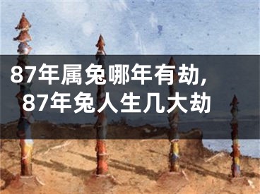 87年属兔哪年有劫,87年兔人生几大劫