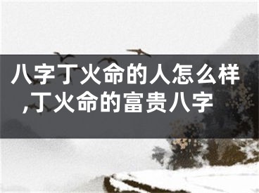 八字丁火命的人怎么样,丁火命的富贵八字