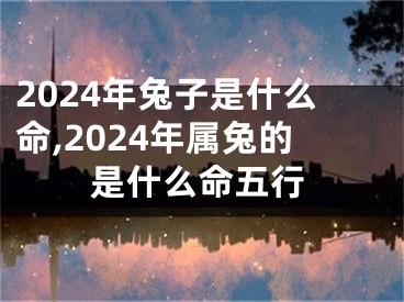 2024年兔子是什么命,2024年属兔的是什么命五行