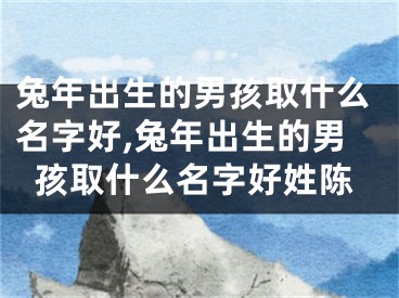 兔年出生的男孩取什么名字好,兔年出生的男孩取什么名字好姓陈