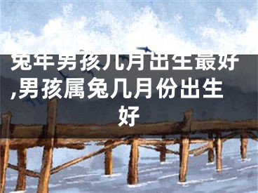 兔年男孩几月出生最好,男孩属兔几月份出生好