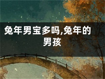 兔年男宝多吗,兔年的男孩