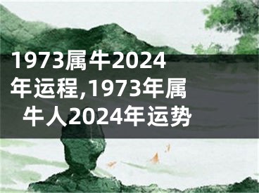1973属牛2024年运程,1973年属牛人2024年运势