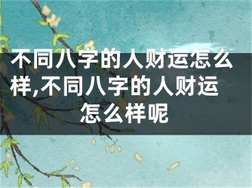 不同八字的人财运怎么样,不同八字的人财运怎么样呢