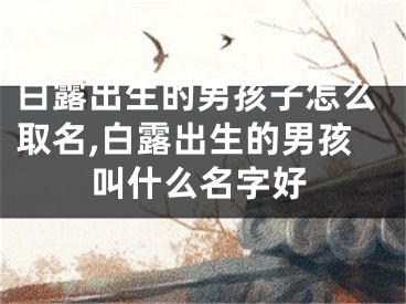白露出生的男孩子怎么取名,白露出生的男孩叫什么名字好