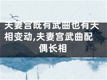 夫妻宫既有武曲也有天相变动,夫妻宫武曲配偶长相