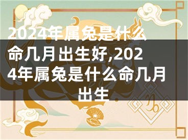2024年属兔是什么命几月出生好,2024年属兔是什么命几月出生