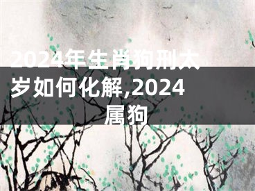 2024年生肖狗刑太岁如何化解,2024属狗