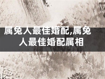 属兔人最佳婚配,属兔人最佳婚配属相