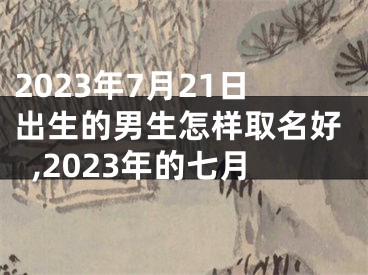 2023年7月21日出生的男生怎样取名好,2023年的七月