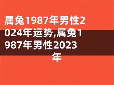 属兔1987年男性2024年运势,属兔1987年男性2023年