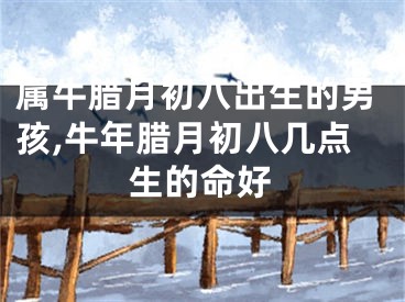 属牛腊月初八出生的男孩,牛年腊月初八几点生的命好