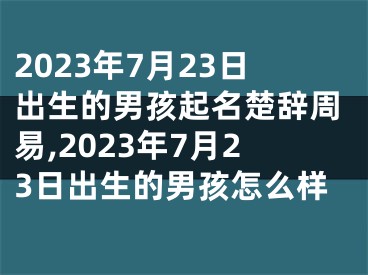 2023年7月23日出生的男孩起名楚辞周易,2023年7月23日出生的男孩怎么样