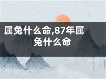属兔什么命,87年属兔什么命
