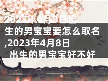 2023年4月8日出生的男宝宝要怎么取名,2023年4月8日出生的男宝宝好不好