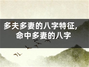 多夫多妻的八字特征,命中多妻的八字