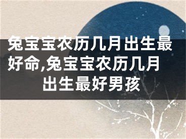 兔宝宝农历几月出生最好命,兔宝宝农历几月出生最好男孩