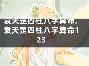 袁天罡四柱八字算命,袁天罡四柱八字算命123