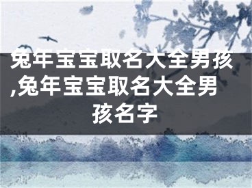 兔年宝宝取名大全男孩,兔年宝宝取名大全男孩名字