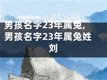 男孩名字23年属兔,男孩名字23年属兔姓刘