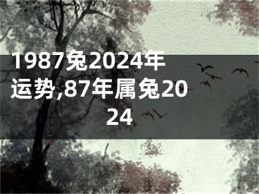 1987兔2024年运势,87年属兔2024