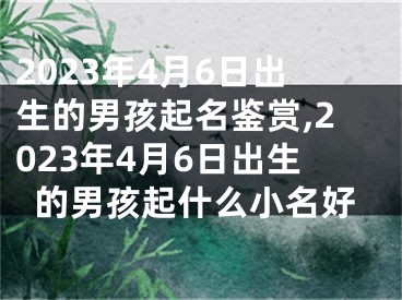 2023年4月6日出生的男孩起名鉴赏,2023年4月6日出生的男孩起什么小名好