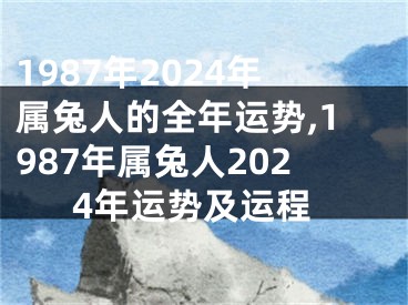 1987年2024年属兔人的全年运势,1987年属兔人2024年运势及运程