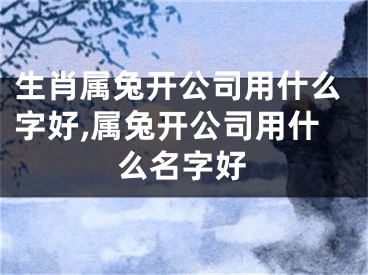 生肖属兔开公司用什么字好,属兔开公司用什么名字好