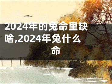 2024年的兔命里缺啥,2024年兔什么命