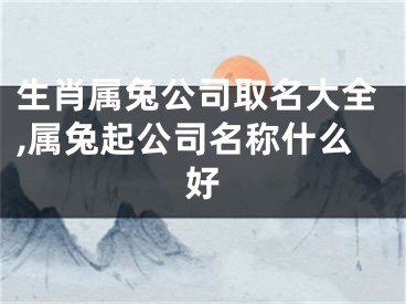 生肖属兔公司取名大全,属兔起公司名称什么好