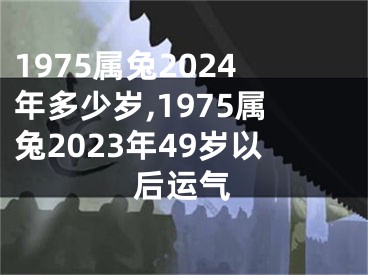 1975属兔2024年多少岁,1975属兔2023年49岁以后运气