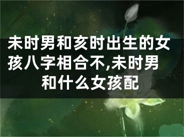 未时男和亥时出生的女孩八字相合不,未时男和什么女孩配