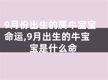 9月份出生的属牛宝宝命运,9月出生的牛宝宝是什么命