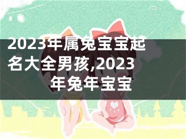 2023年属兔宝宝起名大全男孩,2023年兔年宝宝
