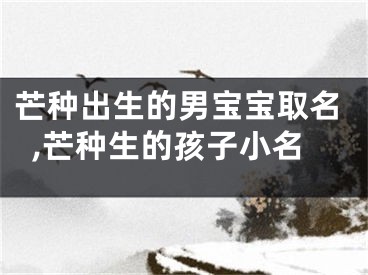 芒种出生的男宝宝取名,芒种生的孩子小名