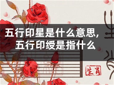五行印星是什么意思,五行印绶是指什么