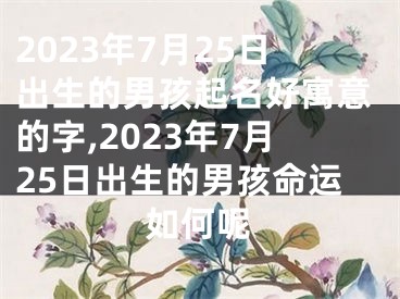 2023年7月25日出生的男孩起名好寓意的字,2023年7月25日出生的男孩命运如何呢