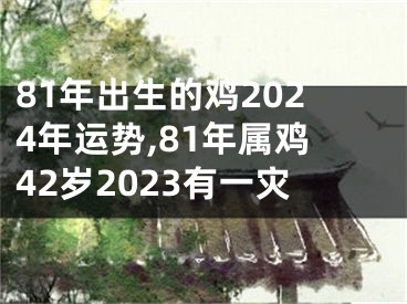 81年出生的鸡2024年运势,81年属鸡42岁2023有一灾