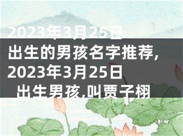 2023年3月25日出生的男孩名字推荐,2023年3月25日出生男孩,叫贾子栩