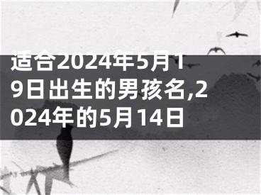适合2024年5月19日出生的男孩名,2024年的5月14日