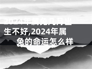 2024年属兔几月出生不好,2024年属兔的命运怎么样