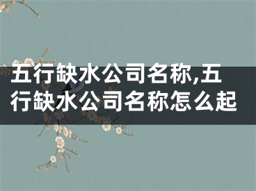 五行缺水公司名称,五行缺水公司名称怎么起