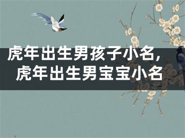 虎年出生男孩子小名,虎年出生男宝宝小名