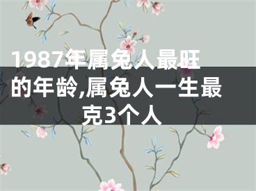 1987年属兔人最旺的年龄,属兔人一生最克3个人