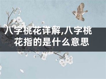 八字桃花详解,八字桃花指的是什么意思